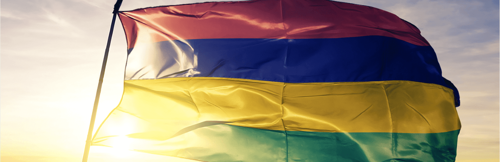 background (3) (Large) - Experience Mo-Ti-Zil