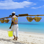 see activities (5) (Large) - Experience Mo-Ti-Zil