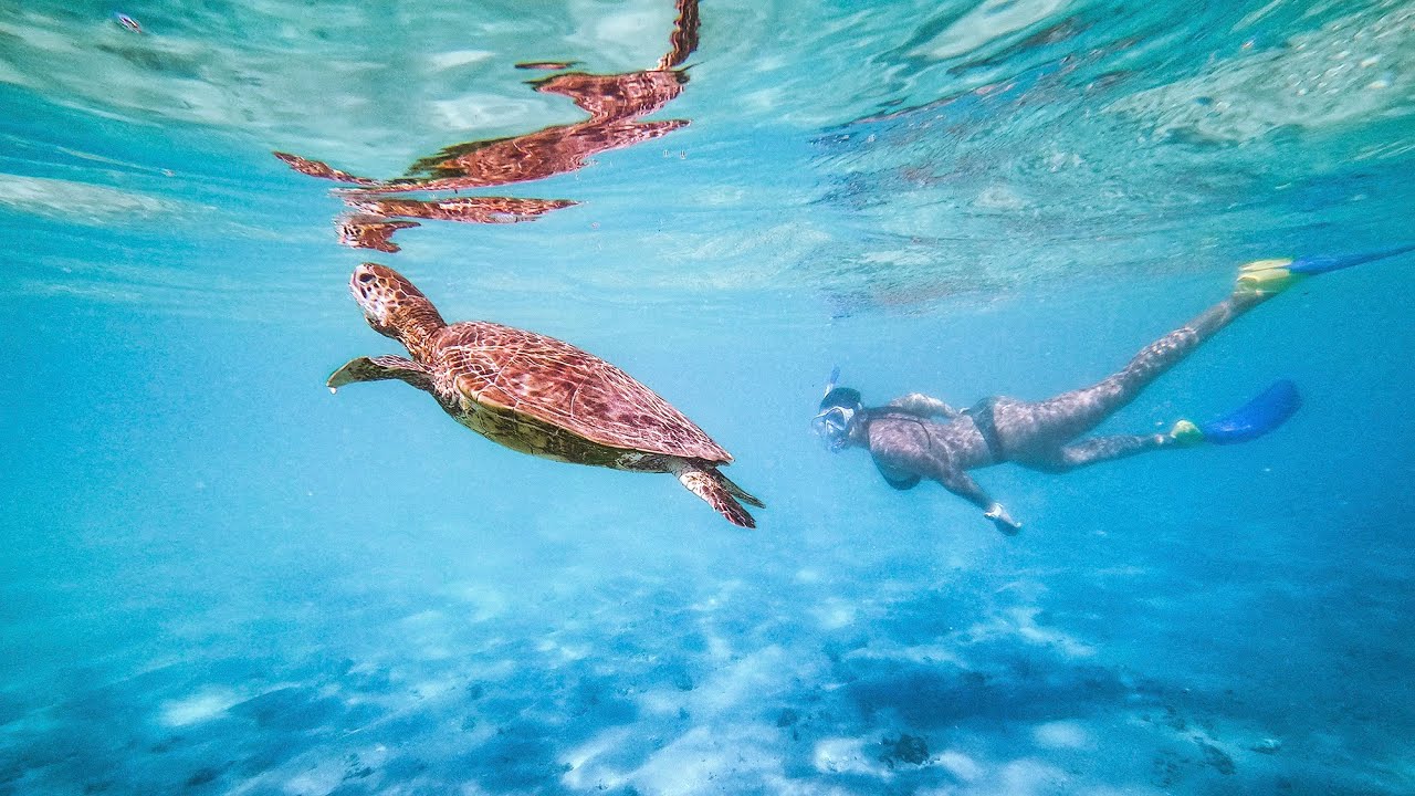 - Experience Mo-Ti-Zil